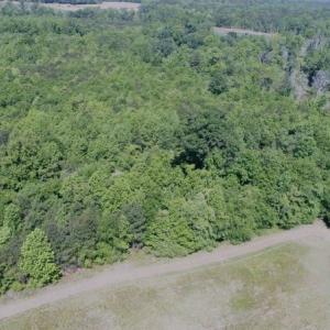 Photo #15 of SOLD property in Off Holland Road, Greenville, NC 20.0 acres