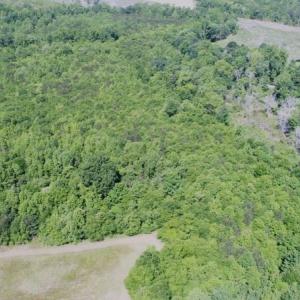 Photo #16 of SOLD property in Off Holland Road, Greenville, NC 20.0 acres