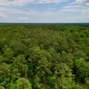 Photo #14 of SOLD property in Off Dunbar Canal Rd, Belhaven, NC 65.1 acres