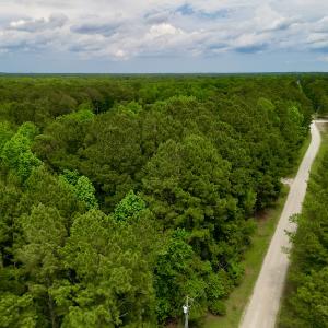 Photo #18 of SOLD property in Off Dunbar Canal Rd, Belhaven, NC 65.1 acres