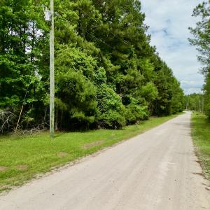 Photo #19 of SOLD property in Off Dunbar Canal Rd, Belhaven, NC 65.1 acres