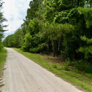 Photo #20 of SOLD property in Off Dunbar Canal Rd, Belhaven, NC 65.1 acres