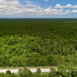 Photo #3 of SOLD property in Off Dunbar Canal Rd, Belhaven, NC 65.1 acres