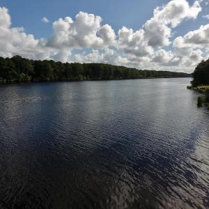 Photo #24 of SOLD property in Off Dunbar Canal Rd, Belhaven, NC 65.1 acres