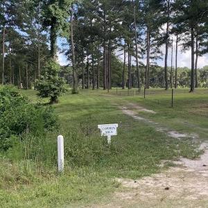 Photo #25 of SOLD property in Off Dunbar Canal Rd, Belhaven, NC 65.1 acres