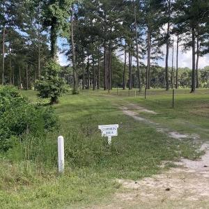 Photo #25 of SOLD property in Off Dunbar Canal Rd, Belhaven, NC 65.1 acres