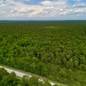 Photo #4 of SOLD property in Off Dunbar Canal Rd, Belhaven, NC 65.1 acres