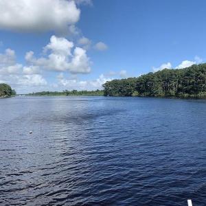 Photo #30 of SOLD property in Off Dunbar Canal Rd, Belhaven, NC 65.1 acres