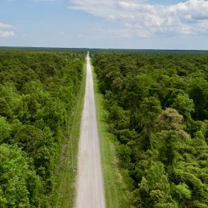 Photo #32 of SOLD property in Off Dunbar Canal Rd, Belhaven, NC 65.1 acres