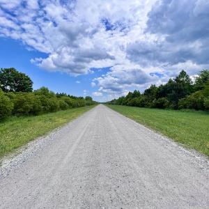 Photo #34 of SOLD property in Off Dunbar Canal Rd, Belhaven, NC 65.1 acres