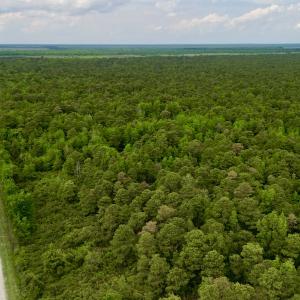 Photo #5 of SOLD property in Off Dunbar Canal Rd, Belhaven, NC 65.1 acres