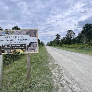 Photo #6 of SOLD property in Off Dunbar Canal Rd, Belhaven, NC 65.1 acres