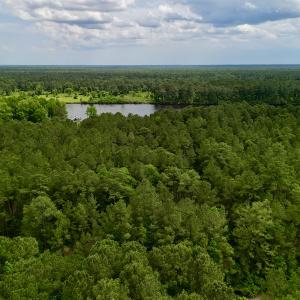 Photo #8 of SOLD property in Off Dunbar Canal Rd, Belhaven, NC 65.1 acres