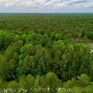 Photo #9 of SOLD property in Off Dunbar Canal Rd, Belhaven, NC 65.1 acres