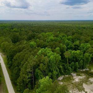 Photo #10 of SOLD property in Off Dunbar Canal Rd, Belhaven, NC 65.1 acres