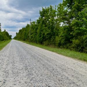 Photo #47 of SOLD property in Off Dunbar Canal Rd, Belhaven, NC 65.1 acres