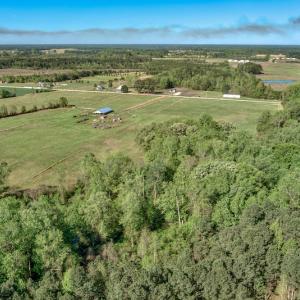 Photo #16 of SOLD property in Off Pine Ridge Road , Faison, NC 5.8 acres