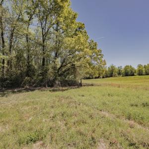 Photo #20 of SOLD property in Off Pine Ridge Road , Faison, NC 5.8 acres