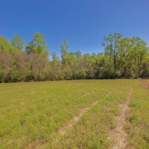 Photo #25 of SOLD property in Off Pine Ridge Road , Faison, NC 5.8 acres