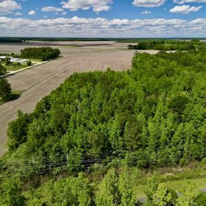 Photo #2 of SOLD property in Off Swan Corner Rd, Bayboro, NC 5.3 acres