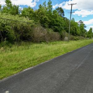 Photo #11 of Off Swan Corner Rd, Bayboro, NC 5.3 acres