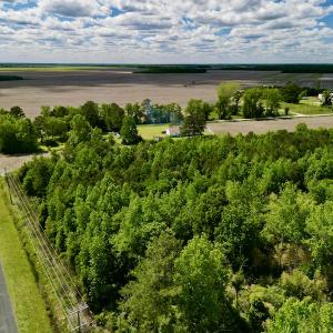 Photo #3 of Off Swan Corner Rd, Bayboro, NC 5.3 acres