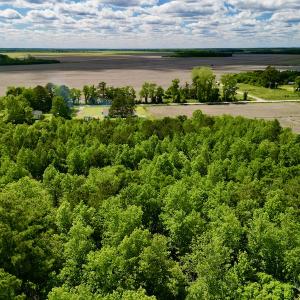 Photo #4 of Off Swan Corner Rd, Bayboro, NC 5.3 acres