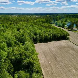 Photo #5 of Off Swan Corner Rd, Bayboro, NC 5.3 acres