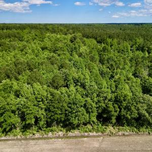 Photo #7 of Off Swan Corner Rd, Bayboro, NC 5.3 acres