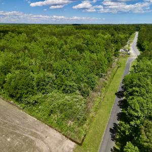 Photo #8 of SOLD property in Off Swan Corner Rd, Bayboro, NC 5.3 acres