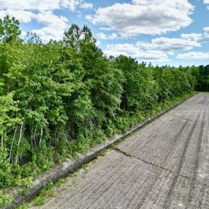 Photo #9 of SOLD property in Off Swan Corner Rd, Bayboro, NC 5.3 acres