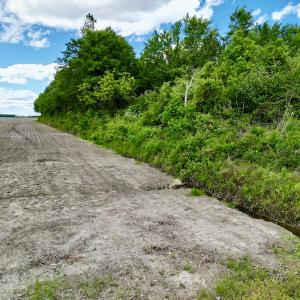 Photo #10 of Off Swan Corner Rd, Bayboro, NC 5.3 acres