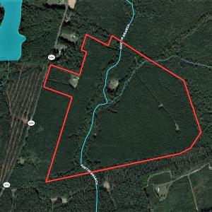 Photo #1 of SOLD property in Off Old Forty Rd, Waverly, VA 129.8 acres