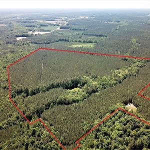 Photo #2 of SOLD property in Off Old Forty Rd, Waverly, VA 129.8 acres