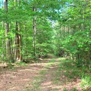 Photo #18 of SOLD property in Off Old Forty Rd, Waverly, VA 129.8 acres