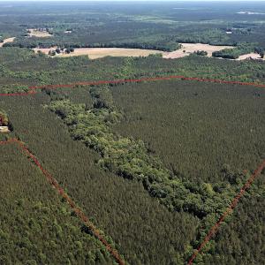 Photo #3 of Off Old Forty Rd, Waverly, VA 129.8 acres