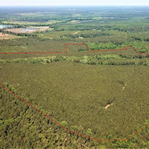 Photo #4 of SOLD property in Off Old Forty Rd, Waverly, VA 129.8 acres