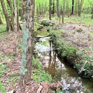 Photo #32 of Off Old Forty Rd, Waverly, VA 129.8 acres