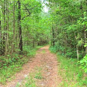 Photo #34 of SOLD property in Off Old Forty Rd, Waverly, VA 129.8 acres