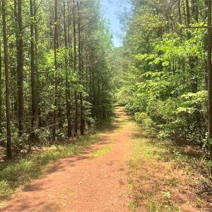 Photo #35 of Off Old Forty Rd, Waverly, VA 129.8 acres