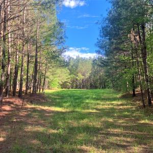 Photo #36 of SOLD property in Off Old Forty Rd, Waverly, VA 129.8 acres