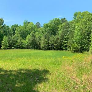 Photo #37 of SOLD property in Off Old Forty Rd, Waverly, VA 129.8 acres