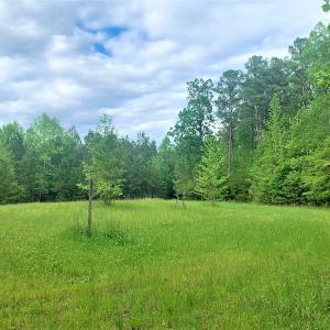 Photo #38 of SOLD property in Off Old Forty Rd, Waverly, VA 129.8 acres