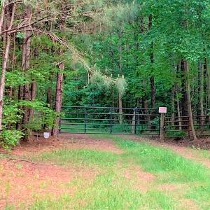 Photo #6 of Off Old Forty Rd, Waverly, VA 129.8 acres