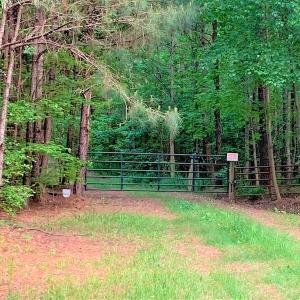 Photo #6 of SOLD property in Off Old Forty Rd, Waverly, VA 129.8 acres