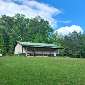 Photo #8 of SOLD property in Off Old Forty Rd, Waverly, VA 129.8 acres