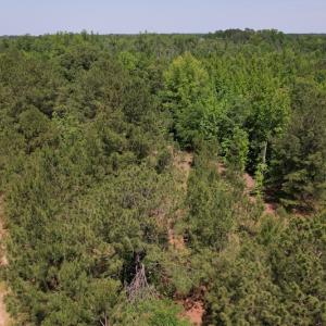 Photo #2 of Off Richland Drive, Pembroke, NC 3.3 acres