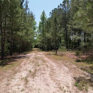 Photo #11 of Off Richland Drive, Pembroke, NC 3.3 acres