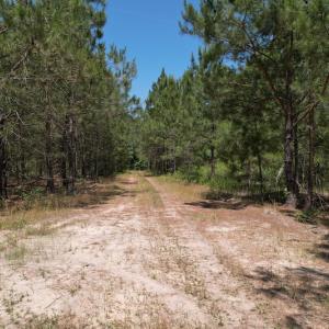 Photo #12 of Off Richland Drive, Pembroke, NC 3.3 acres