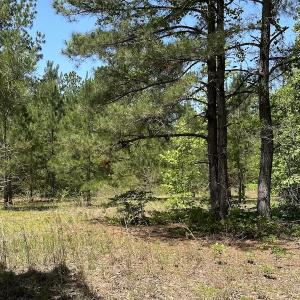 Photo #13 of Off Richland Drive, Pembroke, NC 3.3 acres